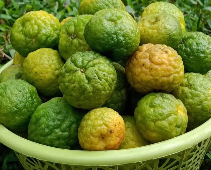 7-817920251125183923608