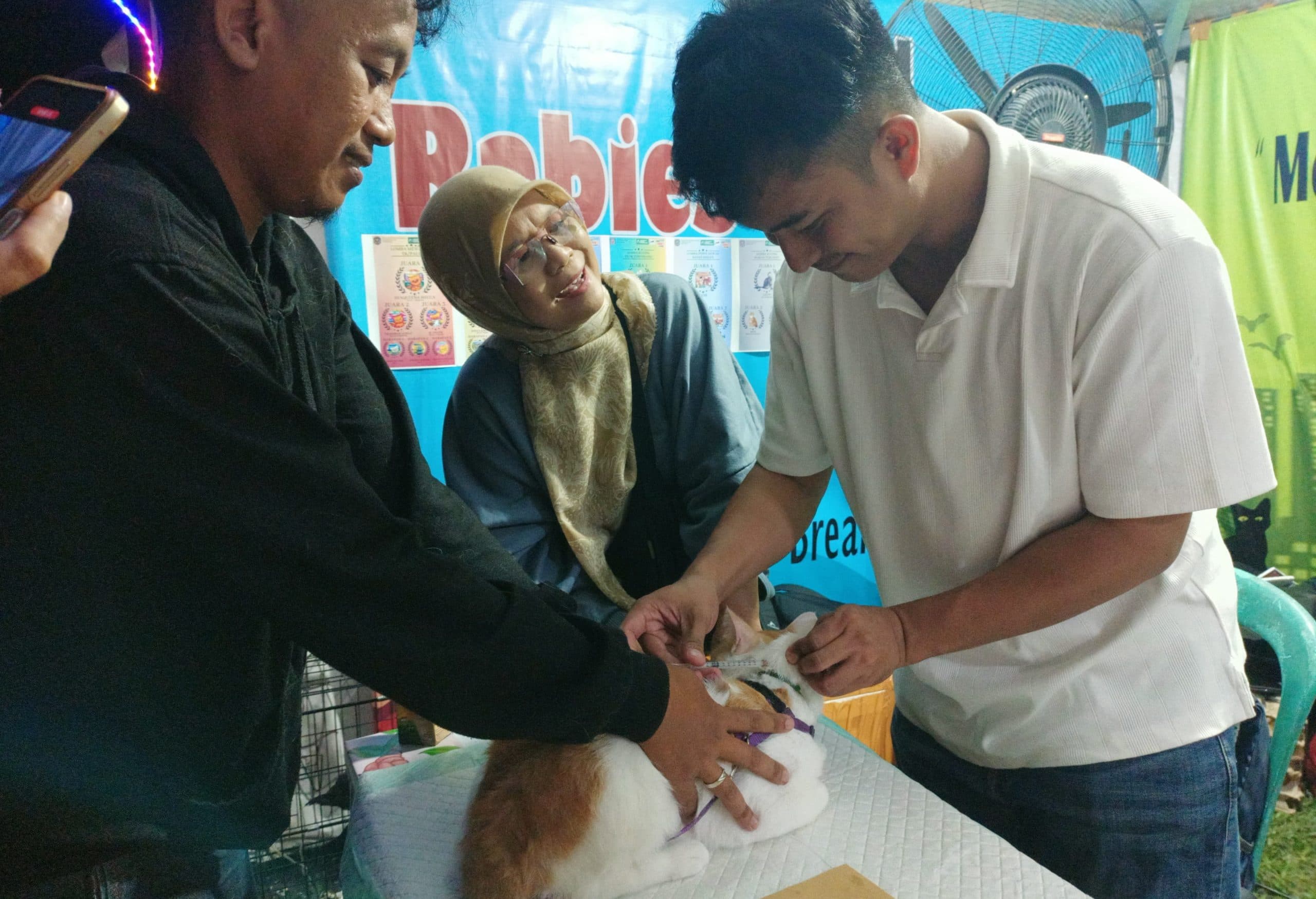 9-386120251125182436088