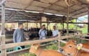 Berdayakan Peternak Lokal, DPRD Kaltim Salurkan 58 Sapi untuk Kelompok Tani Samarinda