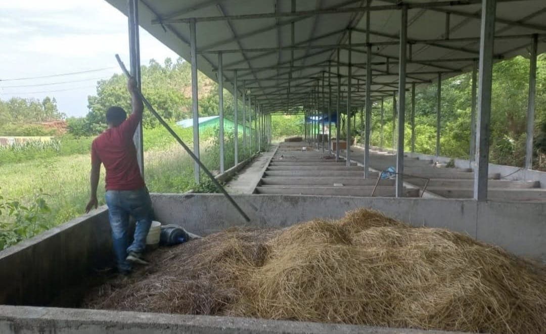 Jerami sebagai bahan baku pembuatan bahan bakar alternatif