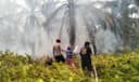 DPR RI Soroti Kabut Asap Berau, Dorong Bantuan Masker dan Air Bersih