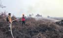2,5 Hektare Lahan Gambut di Muara Muntai Terbakar, Brimob Kaltim Cegah Api Meluas