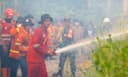 Otorita IKN Tegakkan Aturan Pengendalian Karhutla, 1 Perusahaan Dikenai Sanksi