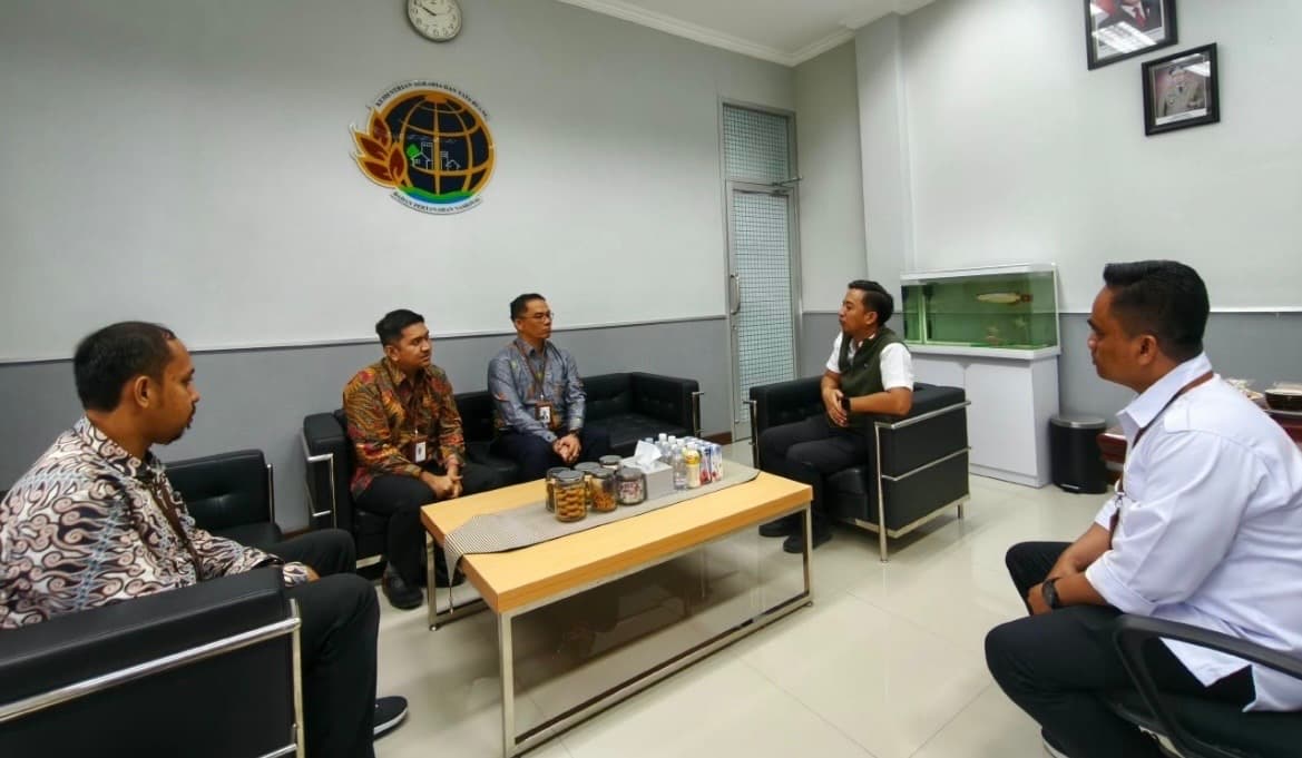 PLN