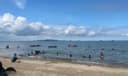 Pantai PPU Mulai Didatangi Ubur-Ubur, Dinkes Bagikan Cara Aman Atasi Sengatan