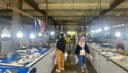 PPU Dorong Investor Olah Ikan Rucah Menjadi Tepung dan Pakan Ikan