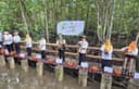 Dari Sekolah untuk Bumi, Mendikdasmen Tanam 2.026 Mangrove di Balikpapan