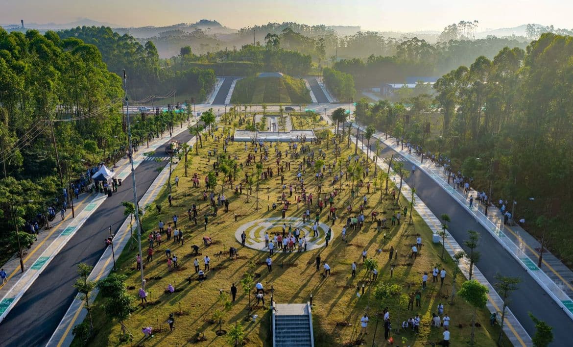 700 bibit pohon ditanam di Plaza Legislatif IKN 