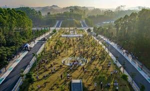 700 bibit pohon ditanam di Plaza Legislatif IKN 