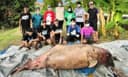 Pesut Mahakam Berusia 30 Tahun Ditemukan Mati di Kota Bangun Kukar