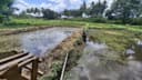 Luas Sawah di Bontang Lestari Bertambah 1 Hektar