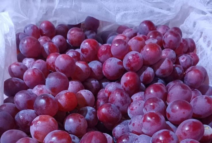 c-188420251125183334849