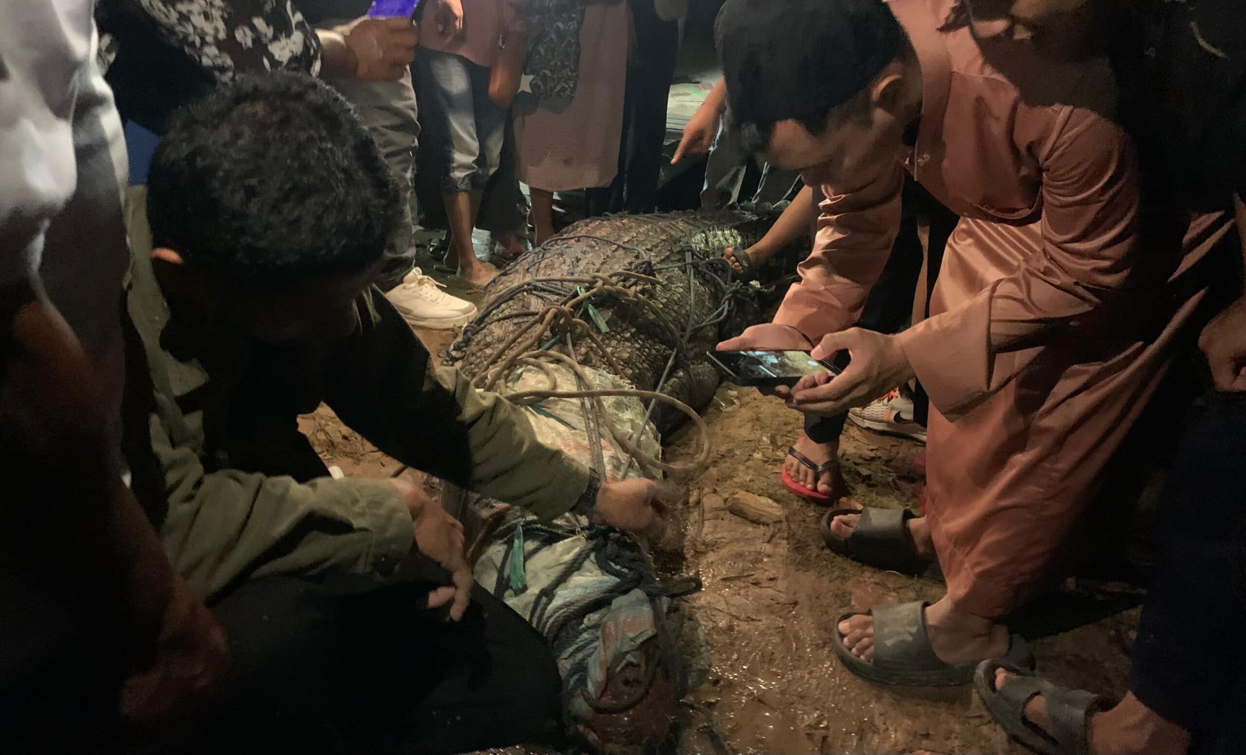 d-678120251125184917055