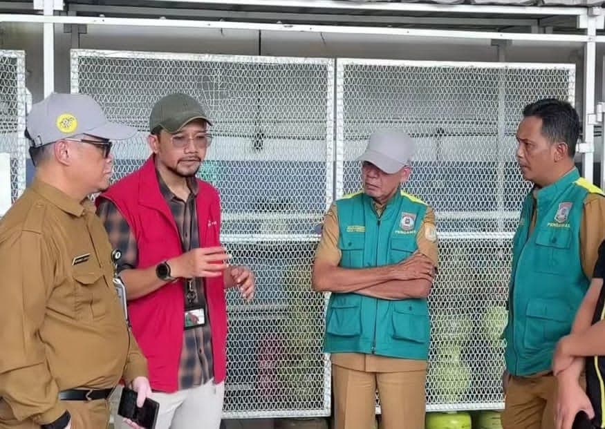 j-300720251125190837588