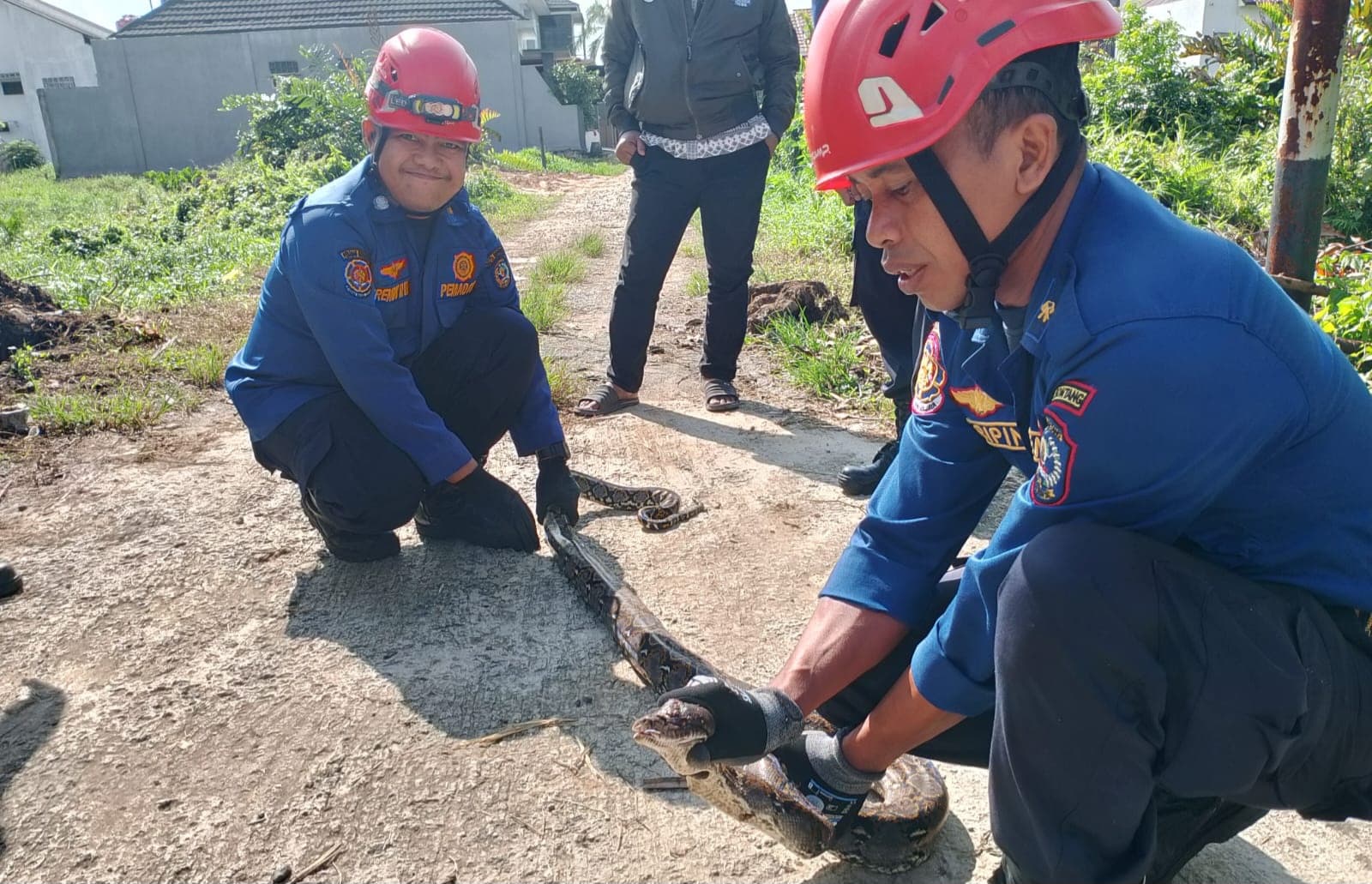 r-517520251125181540351