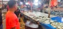 Harga Ikan di Pasar Klandasan Tetap Stabil, Pedagang Pastikan Pasokan Masih Melimpah