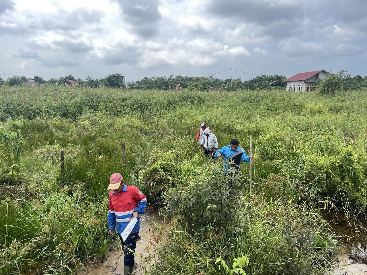 u-827420251125184253642