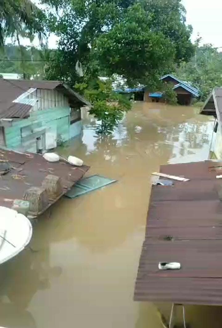 v-316320251125180918911