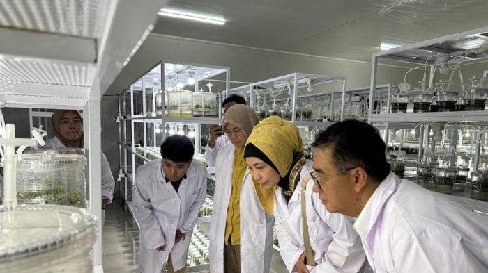 v-910320251125180346922