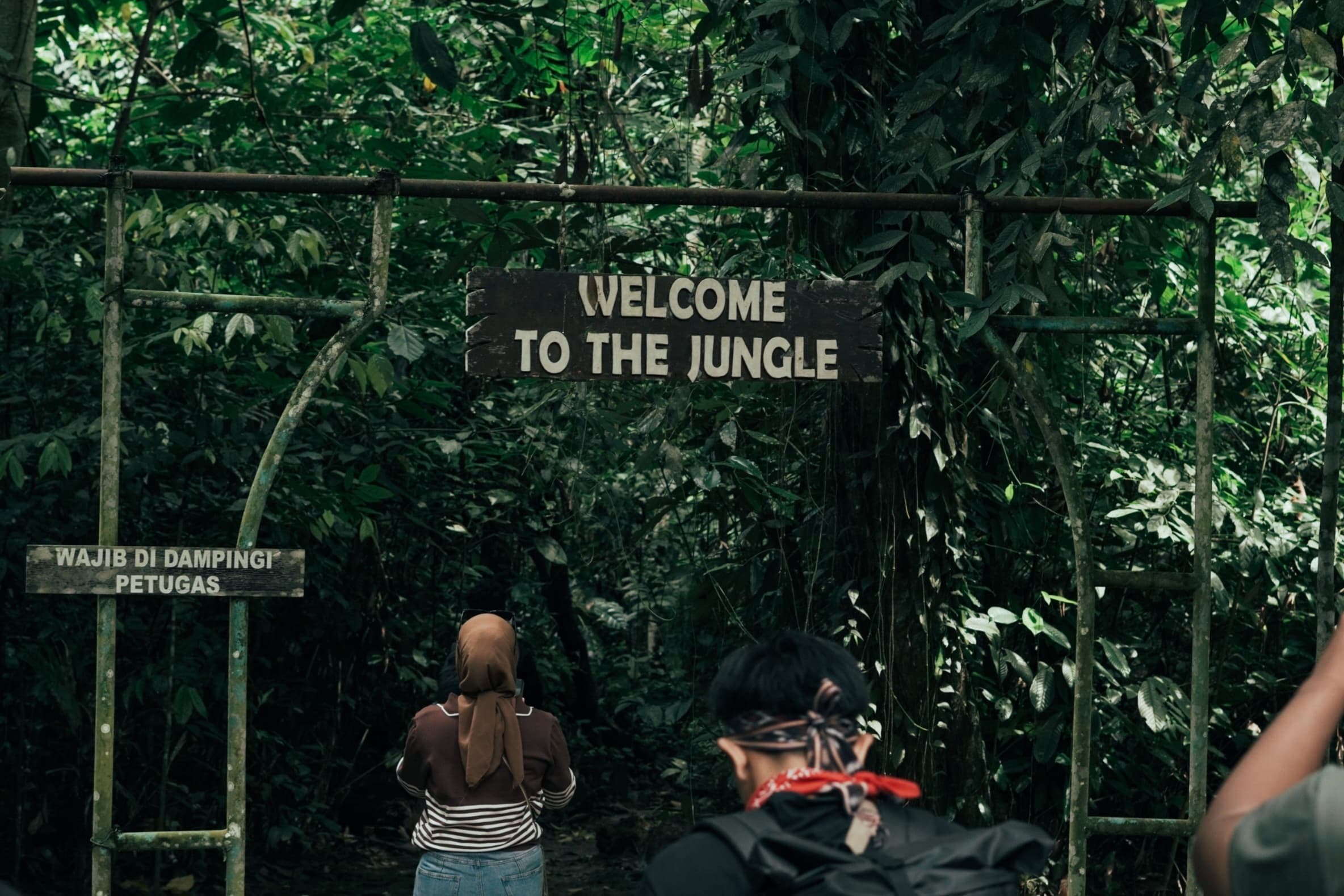 w-266020251125182108480