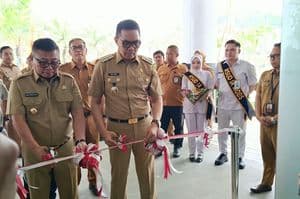 Andi Harun