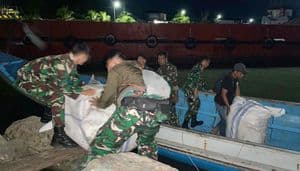 Aparat gagalkan barang ilegal di perbatasan utara Kalimantan (dok: TNI)