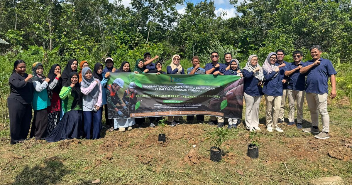 Program KRPL Cabe Ceria KKT Tingkatkan Ketahanan Pangan dan Ekonomi ...