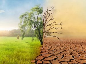 Ilustrasi perlunya tobat ekologis atas krisis iklim di Bumi (Foto:ist)