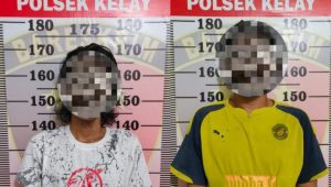 Pelaku pencurian kelapa sawit (foto:polresberau)