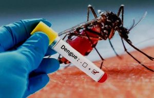 Ilustrasi nyamuk Demam Berdarah Dengue (Foto: ist)