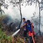 Kebakaran hutan dan lahan di Kalimantan (Foto: Antara)