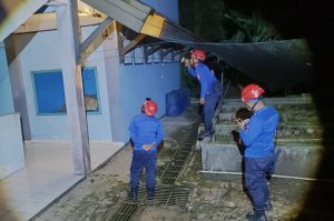 Disdamkartan Bontang evakuasi sarang tawon tanag di SMP YPK (dok: katakaltim)