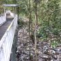 Tampak tumpukan sampah di sekitaran objek wisata Mangrove Berbas Pantai Kota Bontang (aset: Ali/katakaltim)