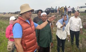 Calon Wali Kota Samarinda Andi Harun (AH) menggelar temu wicara dengan gabungan kelompok tani (Gapoktan) Kecamatan Sambutan, Selasa (8/10/2024) (aset: puji/katakaltim)