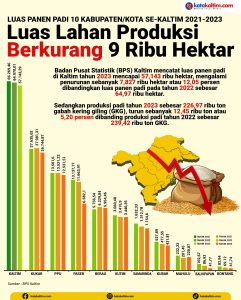 Infografis luas lahan produksi padi di Kaltim (aset: wahid/katakaltim)