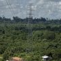 Area lahan yang terlintasi Saluran Udara Tegangan Tinggi (SUTT) 150kV dari Gardu Induk (GI) Tanjung Redeb ke GI Talisayan. (aset: Syam/katakaltim.com)