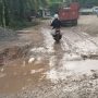 Jalan Trans Kaltim di Kubar, Kecamatan Bongan, terpantau berlubang dan rusak parah. (dok: hadi/katakaltim.com)