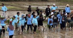 Pj Gubernur Kaltim Akmal Malik bersama grub band Slank saat melakukan penanaman padi di lahan eks tambang PT. BBE pada 9 Januari 2025 di Kukar (dok: galang/katakaltim)