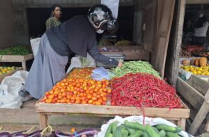 Harga cabai dan tomat stabil, sayur naik 2 kali lipat di Pasar Sangatta Lama, Sabtu 1 Februari 2025 (dok: caca/katakaltim)