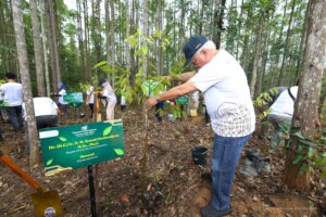 Kepala Otorita Ibu Kota Nusantara (IKN) Basuki Hadimuljono, saat menanam pohon di Miniatur Hutan Hujan Tropis, IKN, Jumat 14 Februari 2025. (dok:OtoritaIKN)