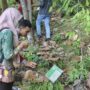Para pelajar meneliti di Kebun Raya Balikpapan (KRB), Kamis 15 Mei 2025 (dok: hlm/katakaltim)
