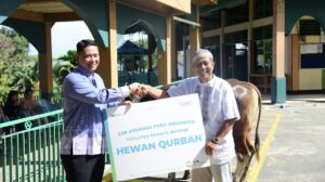 PT Angkasa Pura Indonesia cabang Bandara Sultan Aji Muhammad Sulaiman (SAMS) Sepinggan Balikpapan salurkan 3 hewan kurban ke warga sekitar wilayah operasional Bandara. (Dok: Han/katakaltim)