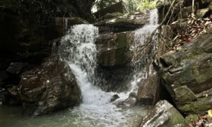 Air Terjun Pesona Perjiwa yang berlokasi di Desa Perjiwa, Kecamatan Tenggarong Seberang merupakan destinasi wisata alam di Kabupaten Kutai Kartanegara (Dok: Pemkab Kukar)